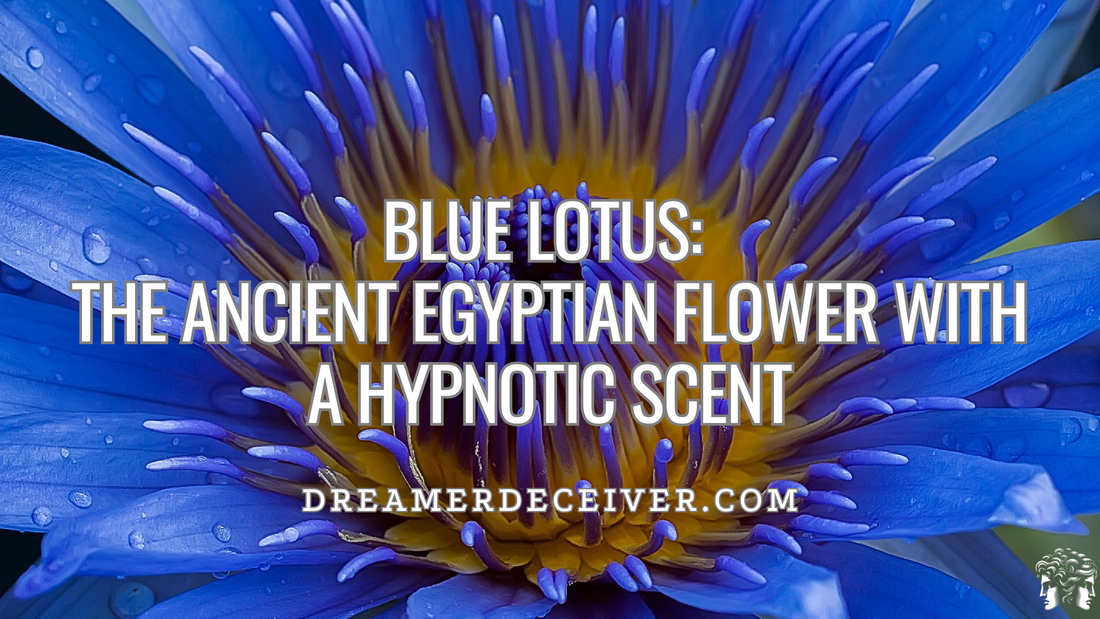 Blue Lotus in Perfumery: The Ancient Egyptian Flower with a Hypnotic Scent