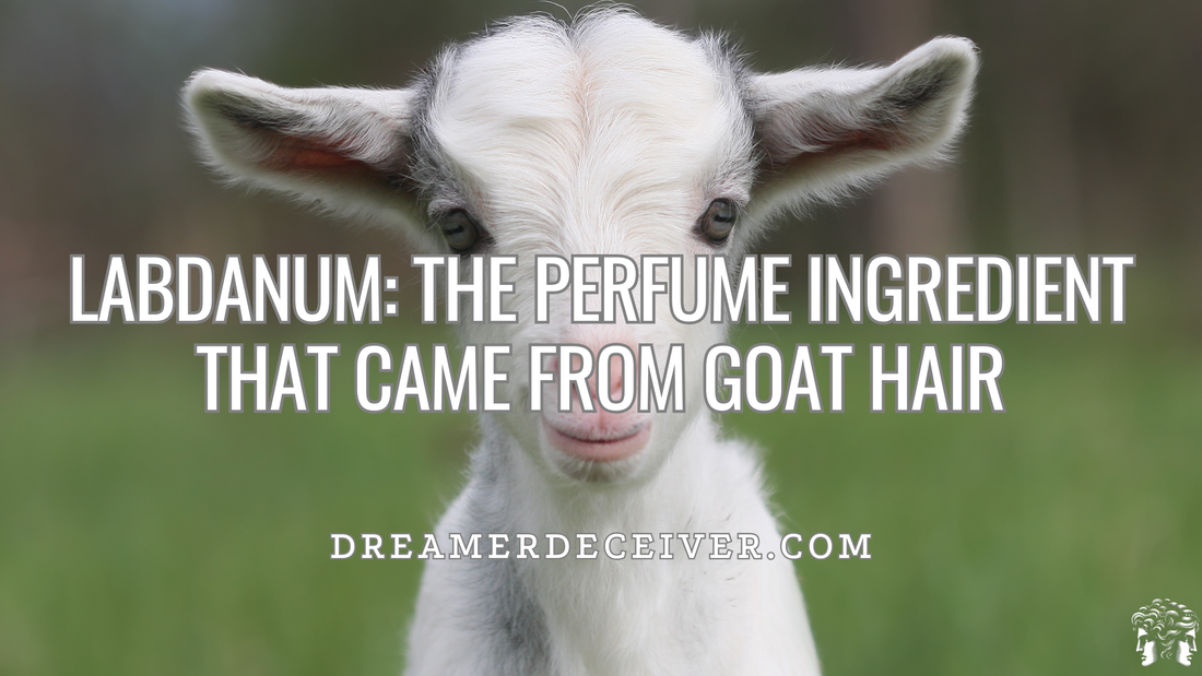 Labdanum: The Perfume Ingredient That Came From Goat Hair